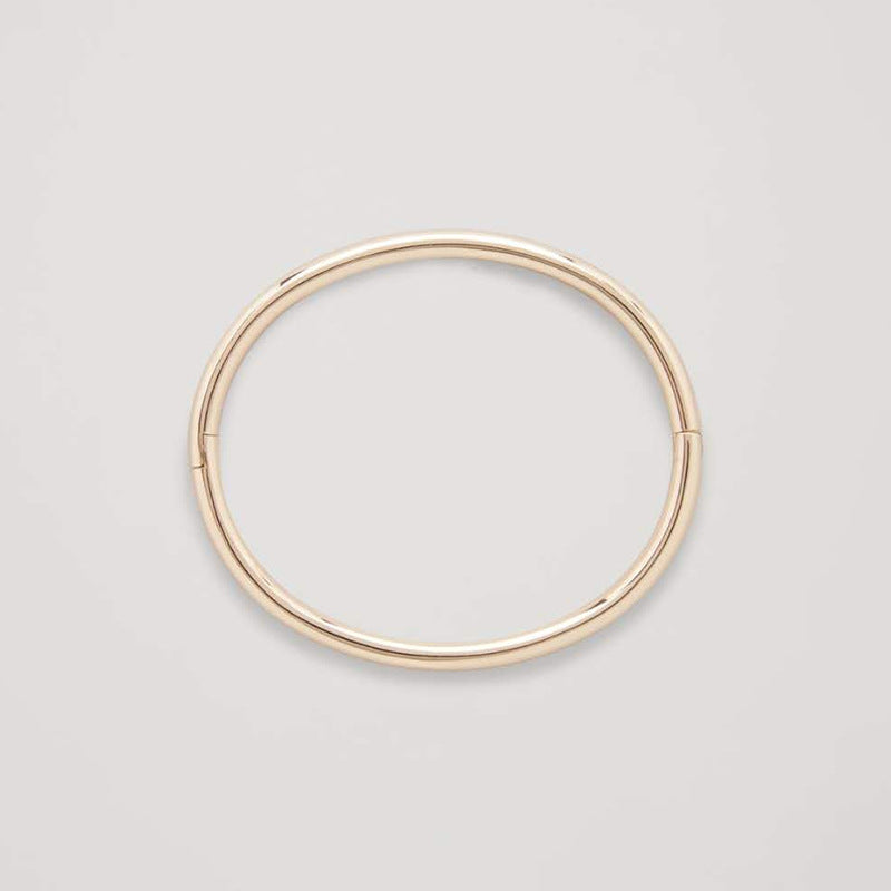 Women's Polished Titanium Steel Metal Sier Golden Summer Goose Bracelets