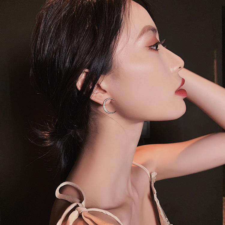 Sier Needle Temperament Female Ear Asymmetric Earrings