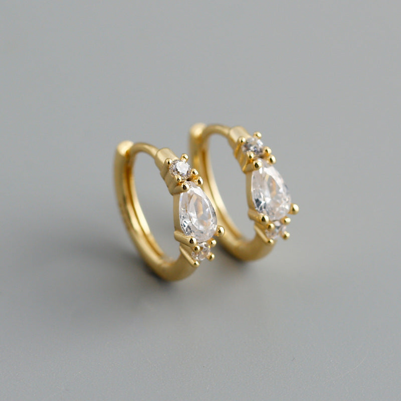 Women's Pine Water Drop Zircon Sterling Sier Earrings