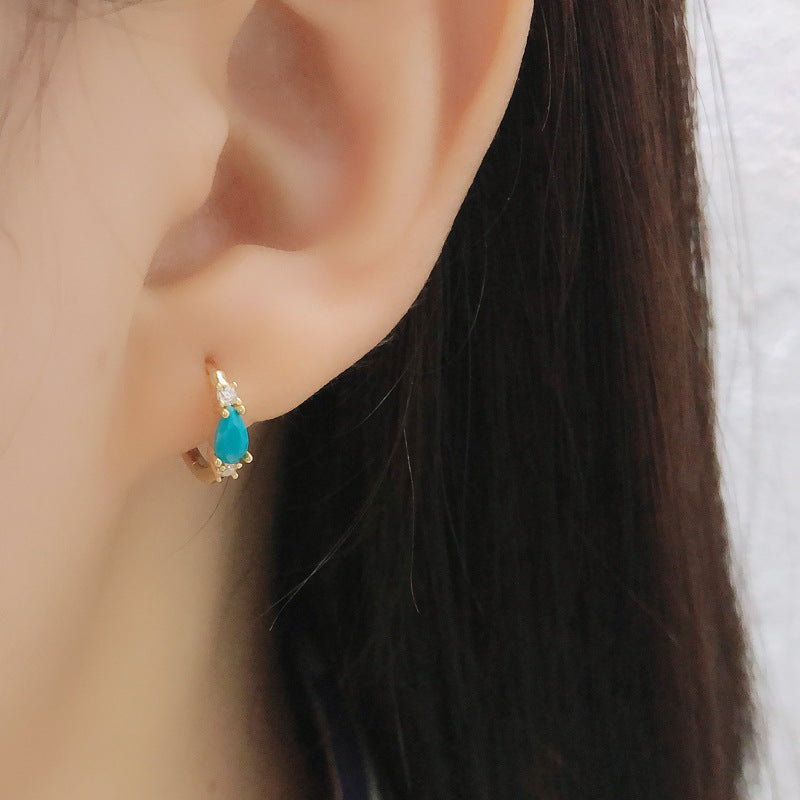 Women's Pine Water Drop Zircon Sterling Sier Earrings