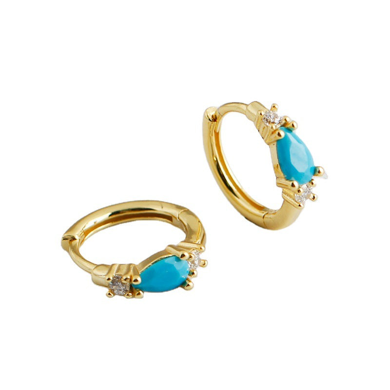 Women's Pine Water Drop Zircon Sterling Sier Earrings