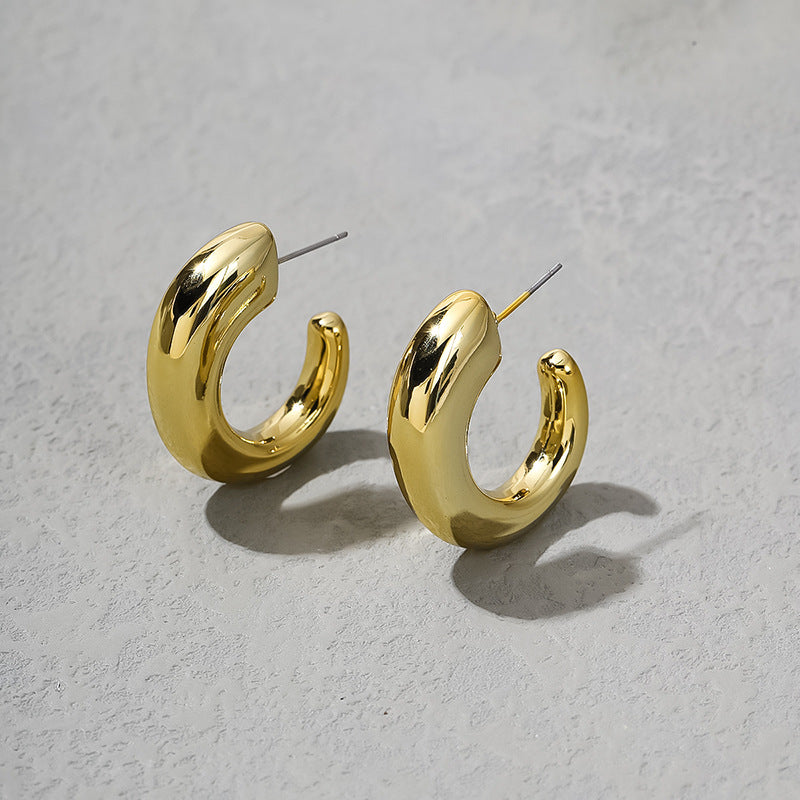 Women's Affordable Luxury Fashion Niche Design Irregular Earrings