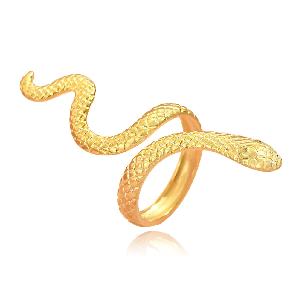 Women's & Men's Snake Exaggerated Personalized Stainless Steel For Rings