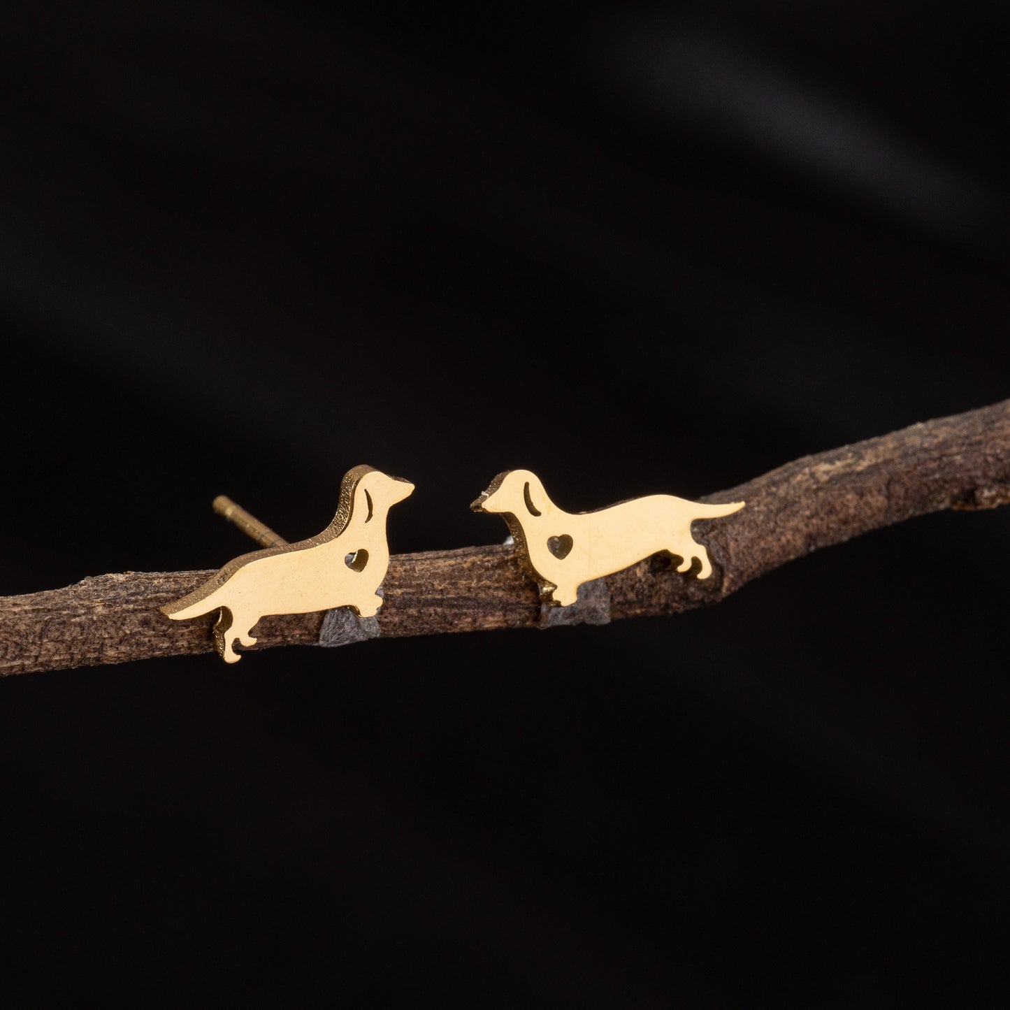 Stainless Steel Zodiac Puppy Style Small Earrings