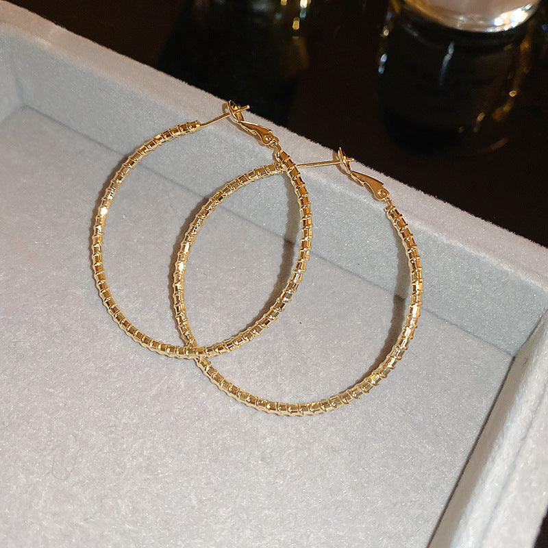 Women's Simple Geometric Niche Minimalist Design Cold Earrings