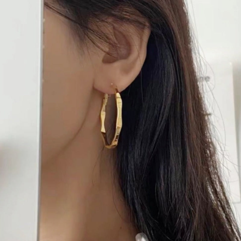 Women's Ear Exaggerated For Trendy Cool Needle Earrings