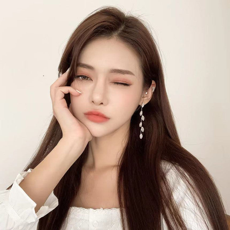 Sier Needle Diamond Long Temperament Wild Earrings