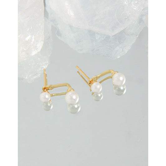 Women's Style Special Interest Light Luxury Design Sense Minimalist Sterling Earrings