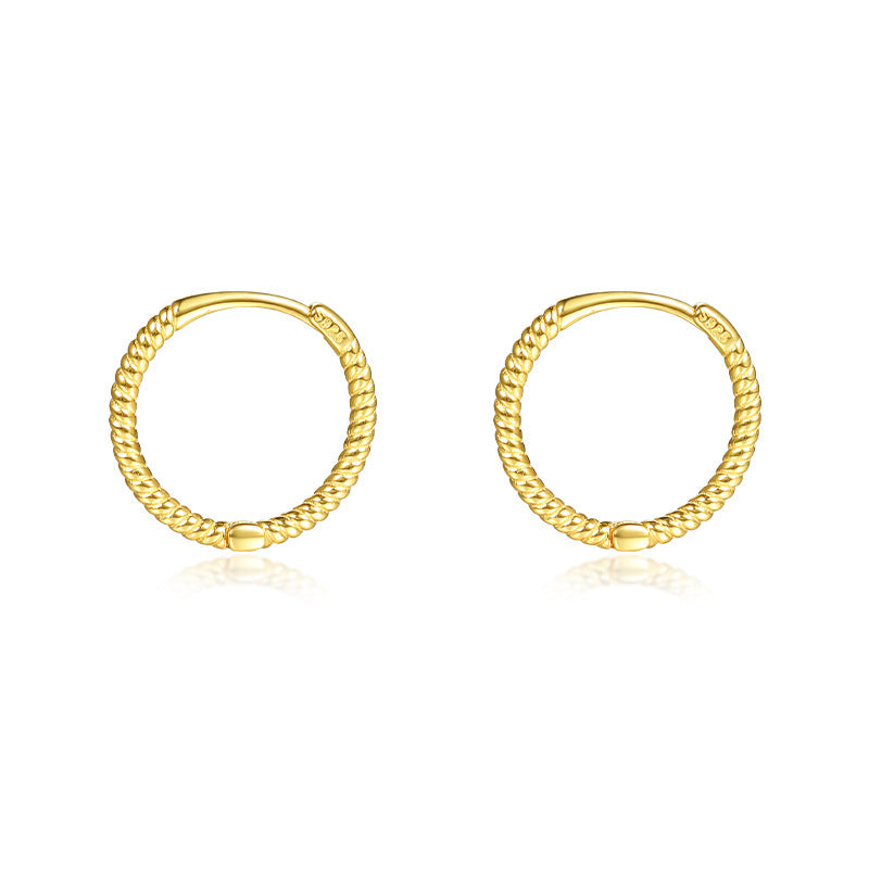 Women's Minimalist Style Simple Sterling Sier Design Earrings