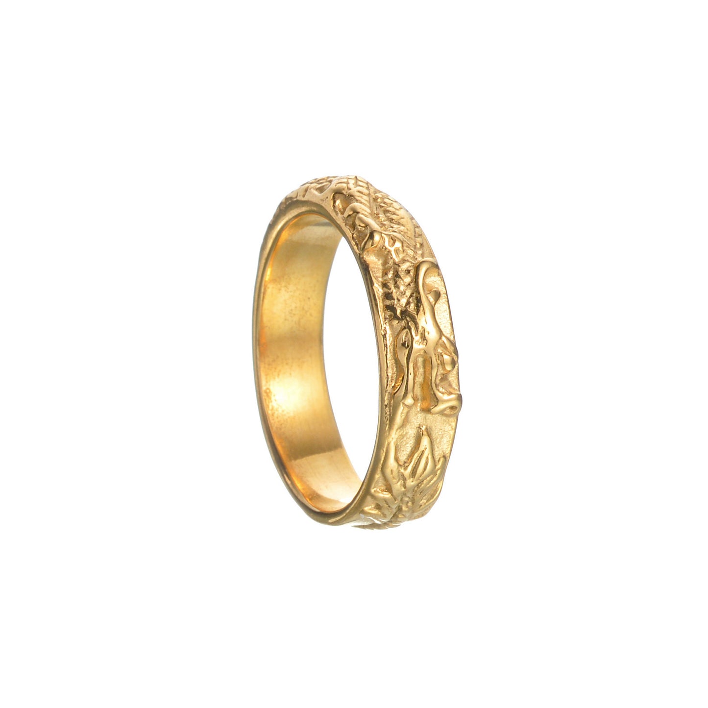 Chinese Dragon Asian Cultural Characteristics Xi Rings