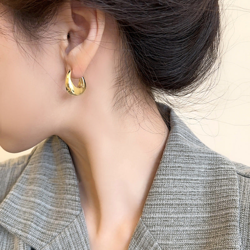 Women's High-grade Simple For Light Luxury Minority Design Frosty Style Earrings