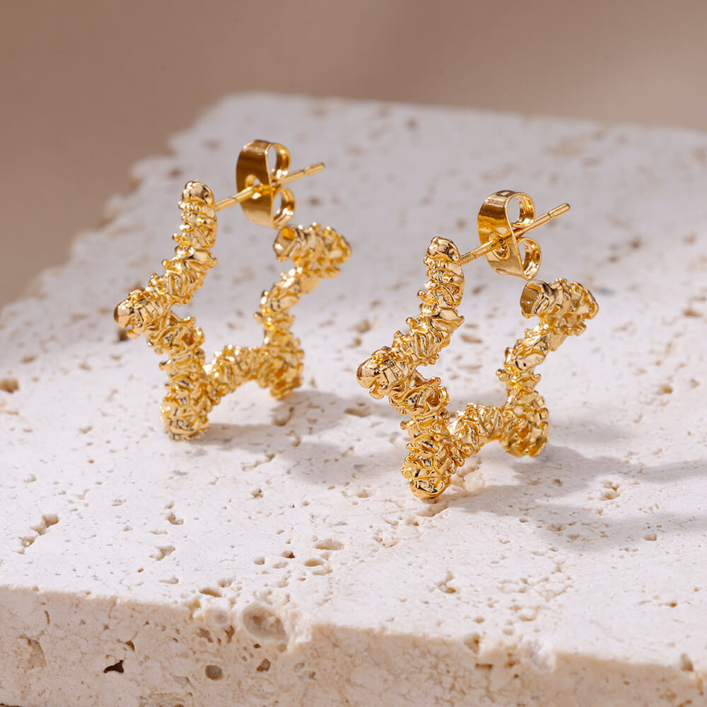 Polygon Mobius Strip Five-pointed Star Hollow Earrings