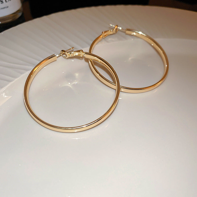 Women's Simple Geometric Niche Minimalist Design Cold Earrings