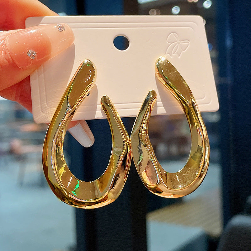 Twisted Metal Niche Exaggerated Cold Style Earrings