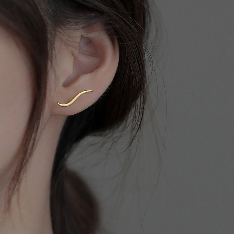 Women's Wave Ear Minority Simple Design Light Luxury High-grade Trendy Earrings