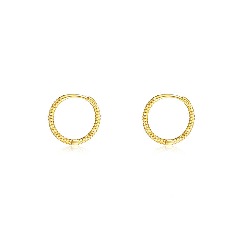 Women's Minimalist Style Simple Sterling Sier Design Earrings
