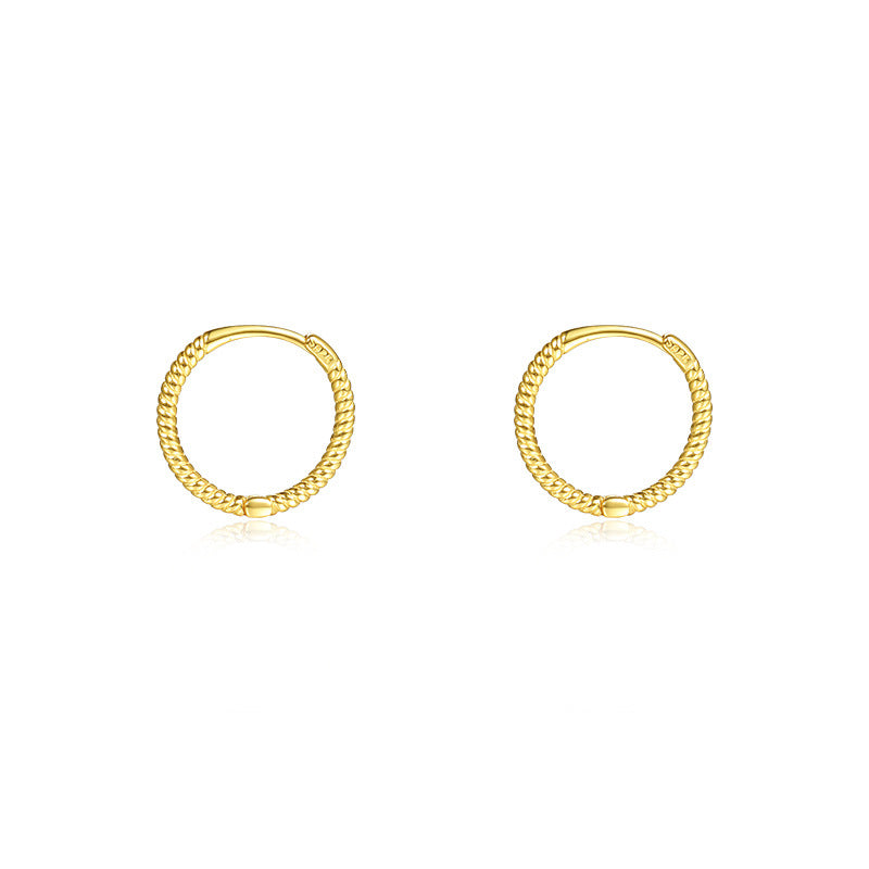 Women's Minimalist Style Simple Sterling Sier Design Earrings