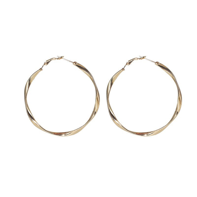 Sier Needle Temperament Female Personality Wild Earrings