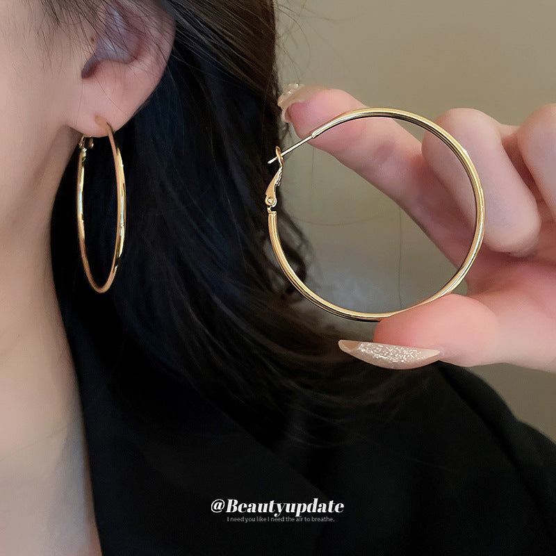 Women's Simple Geometric Niche Minimalist Design Cold Earrings