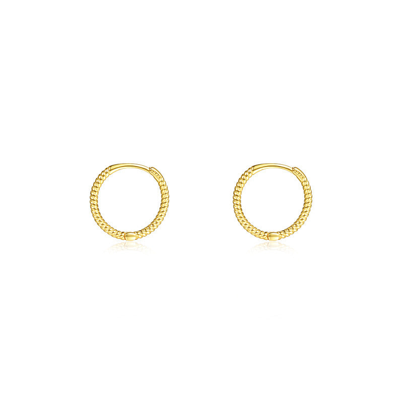 Women's Minimalist Style Simple Sterling Sier Design Earrings