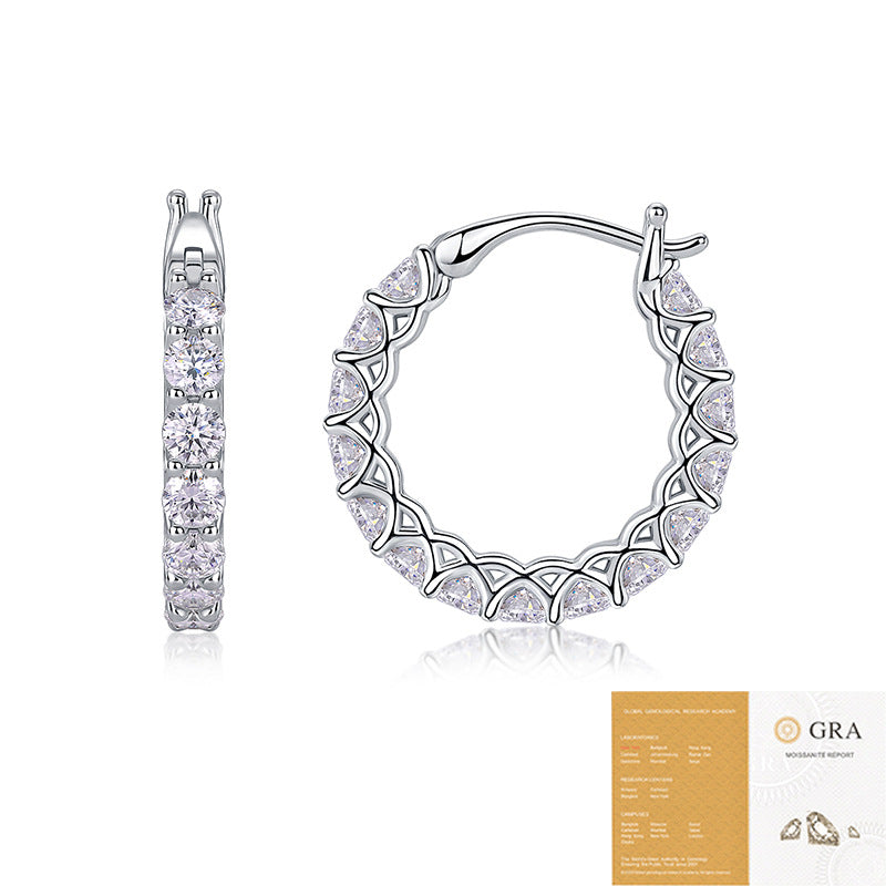 Women's Temperament Special Interest Light Luxury Sier Earrings