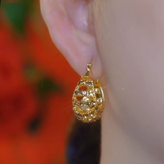 Women's Flash Brown Diamond Studded Hollow Ear Light Luxury Earrings
