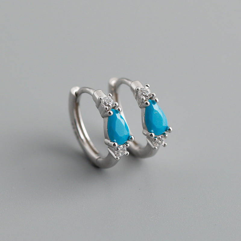 Women's Pine Water Drop Zircon Sterling Sier Earrings