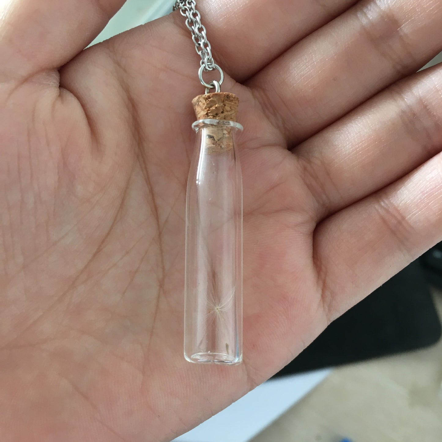 Seed Glass Personality Drift Bottle Dried Necklaces