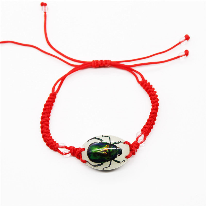 Amber Woven Real Scorpion Scenic Spot Bracelets