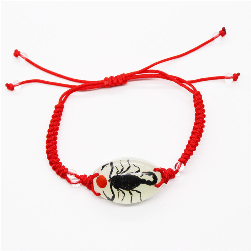 Amber Woven Real Scorpion Scenic Spot Bracelets