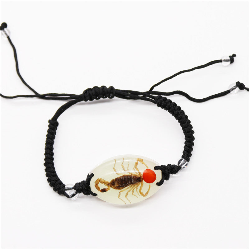 Amber Woven Real Scorpion Scenic Spot Bracelets