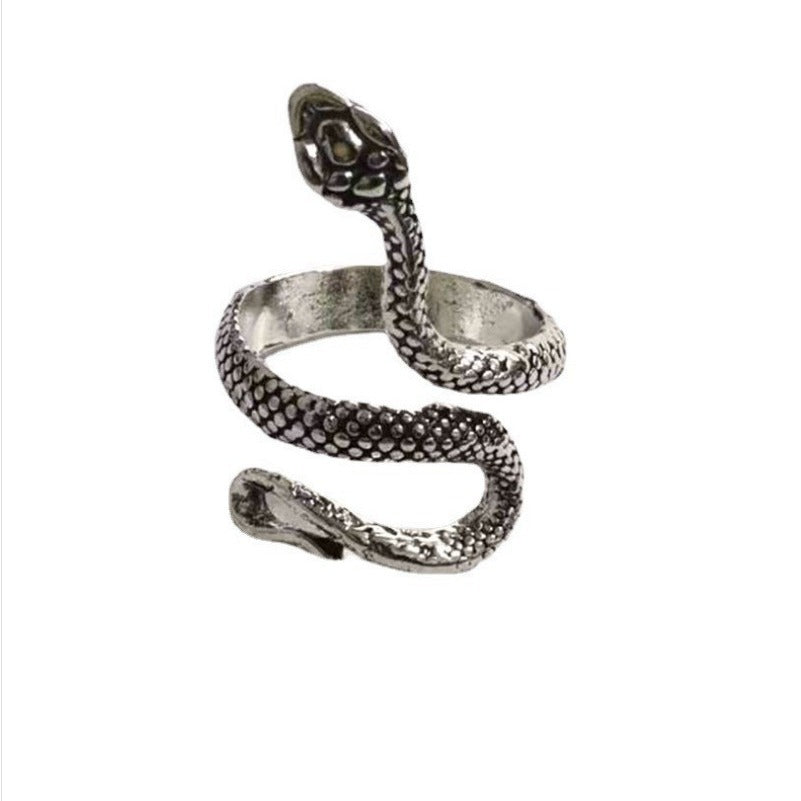 Snake Gothic Personality Zodiac Male Paint Rings