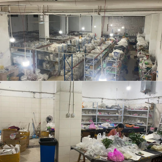 Summer Fresh Daisy Love Heart Niche Earrings