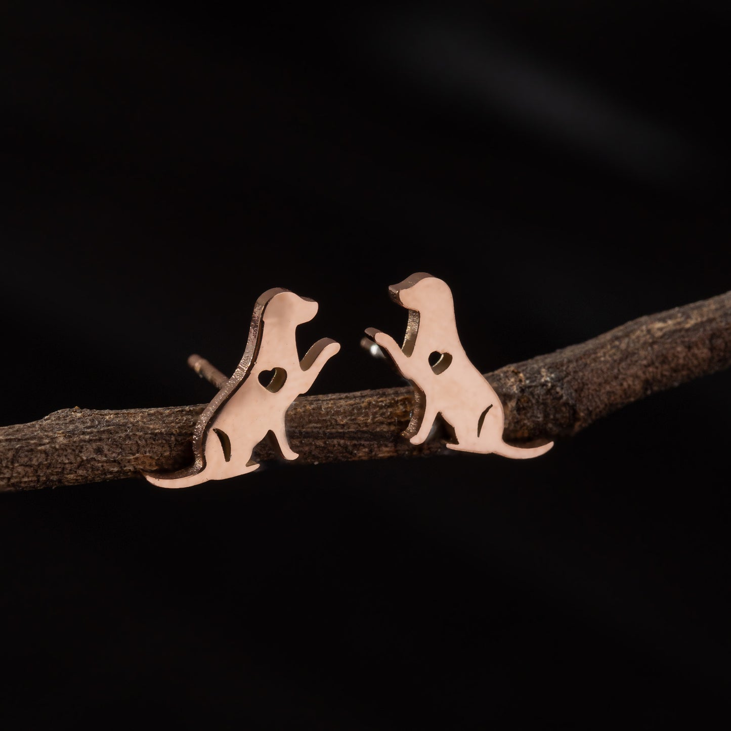 Stainless Steel Zodiac Puppy Style Small Earrings