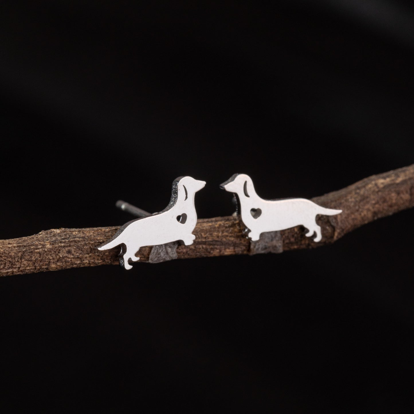 Stainless Steel Zodiac Puppy Style Small Earrings