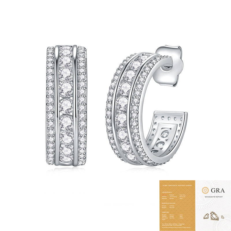 Women's Temperament Special Interest Light Luxury Sier Earrings