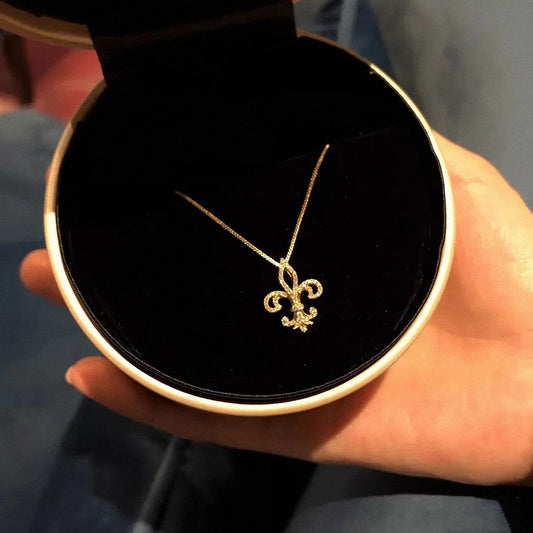 Women's Sterling Sier Gold Plated Light Luxury Minority Necklaces