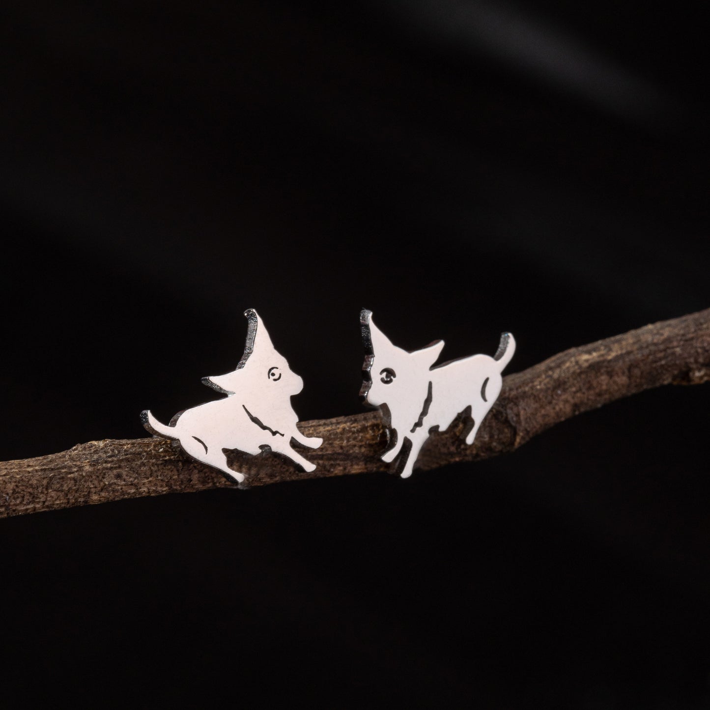 Stainless Steel Zodiac Puppy Style Small Earrings