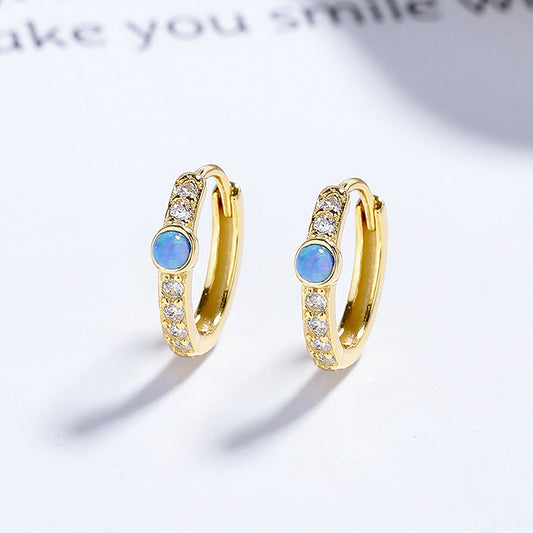 Women's Sier Blue Opal Round Zircon For Unique Design Earrings