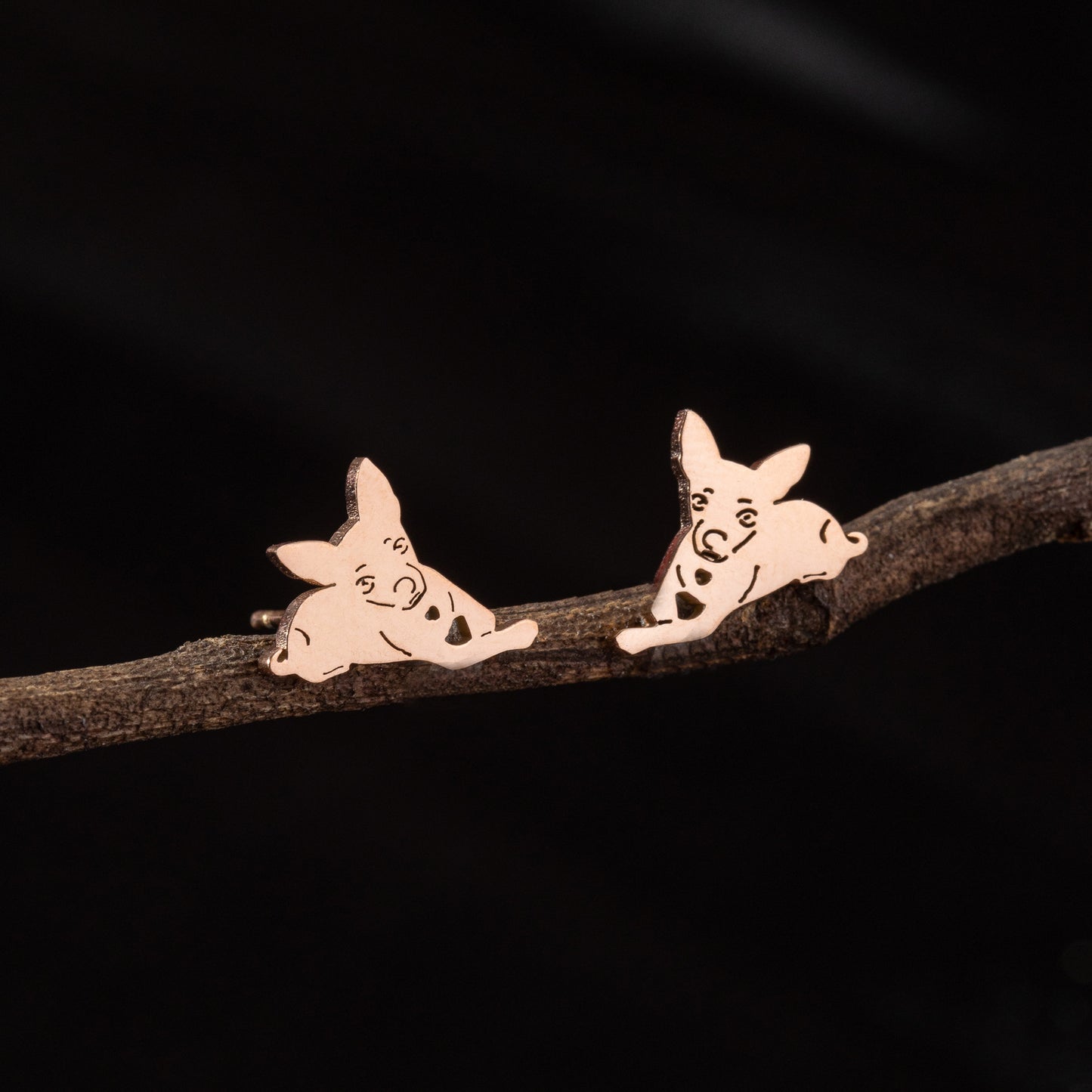 Stainless Steel Zodiac Puppy Style Small Earrings