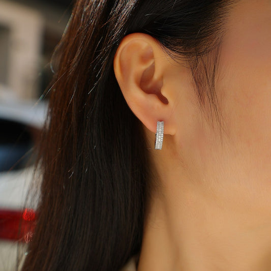 Women's Temperament Special Interest Light Luxury Sier Earrings