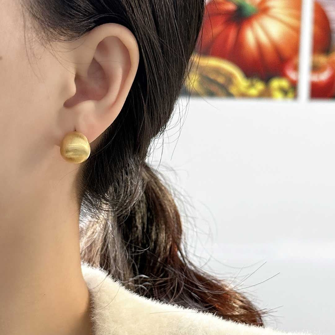 Matte Brushed Sier Pin Ear Light Luxury Design Sense Earrings