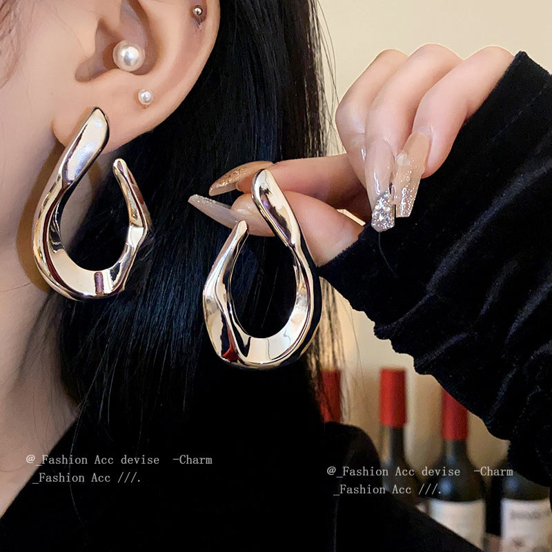 Twisted Metal Niche Exaggerated Cold Style Earrings