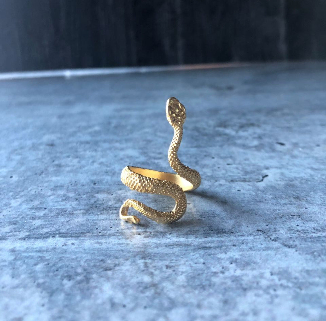 Personalized Exaggerated Snake Retro Punk Hip Ring