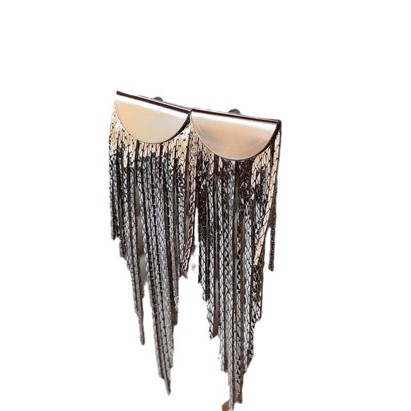 Metal Long Fringe Female Special Interest Light Luxury Design Earrings