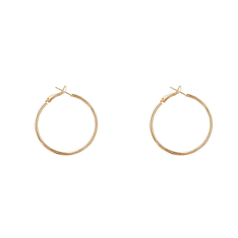 Women's Sier Needle Exaggerated Simple High-grade Light Earrings