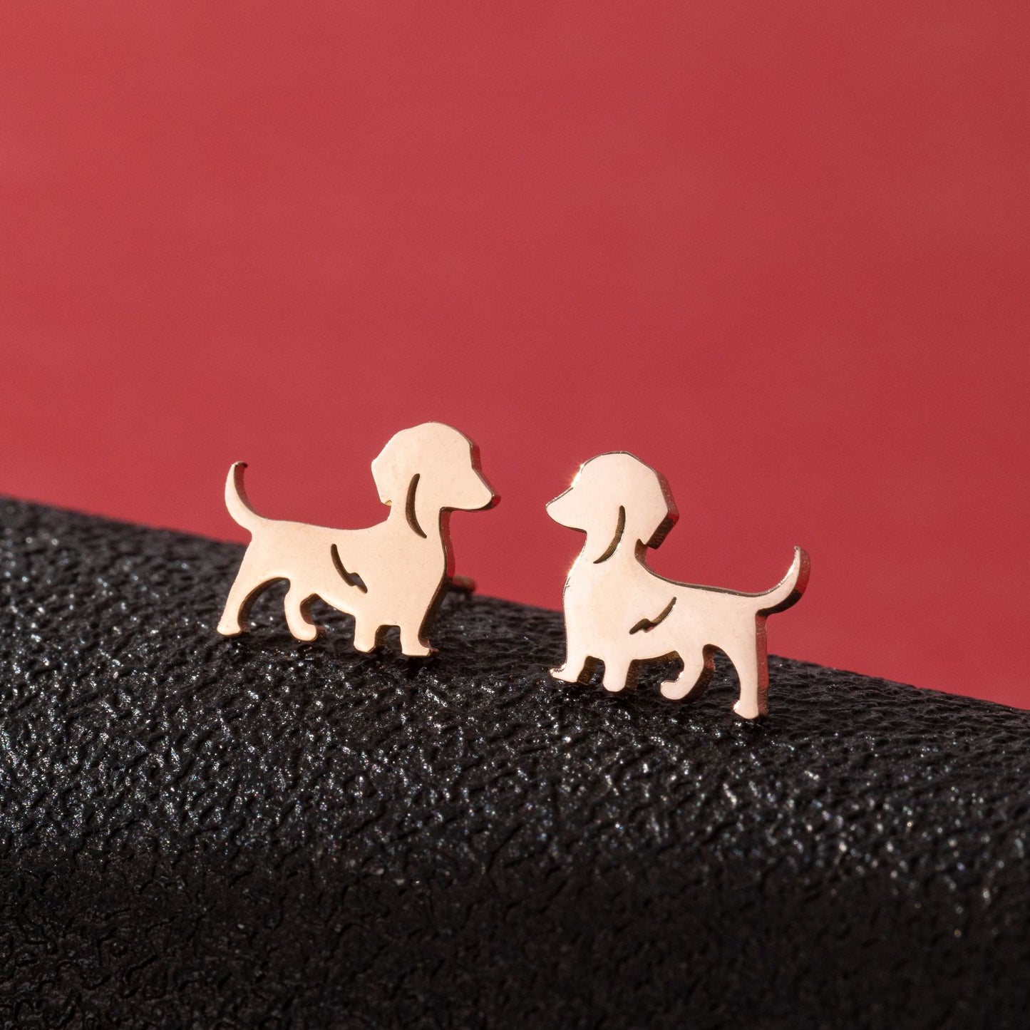 Stainless Steel Zodiac Puppy Style Small Earrings