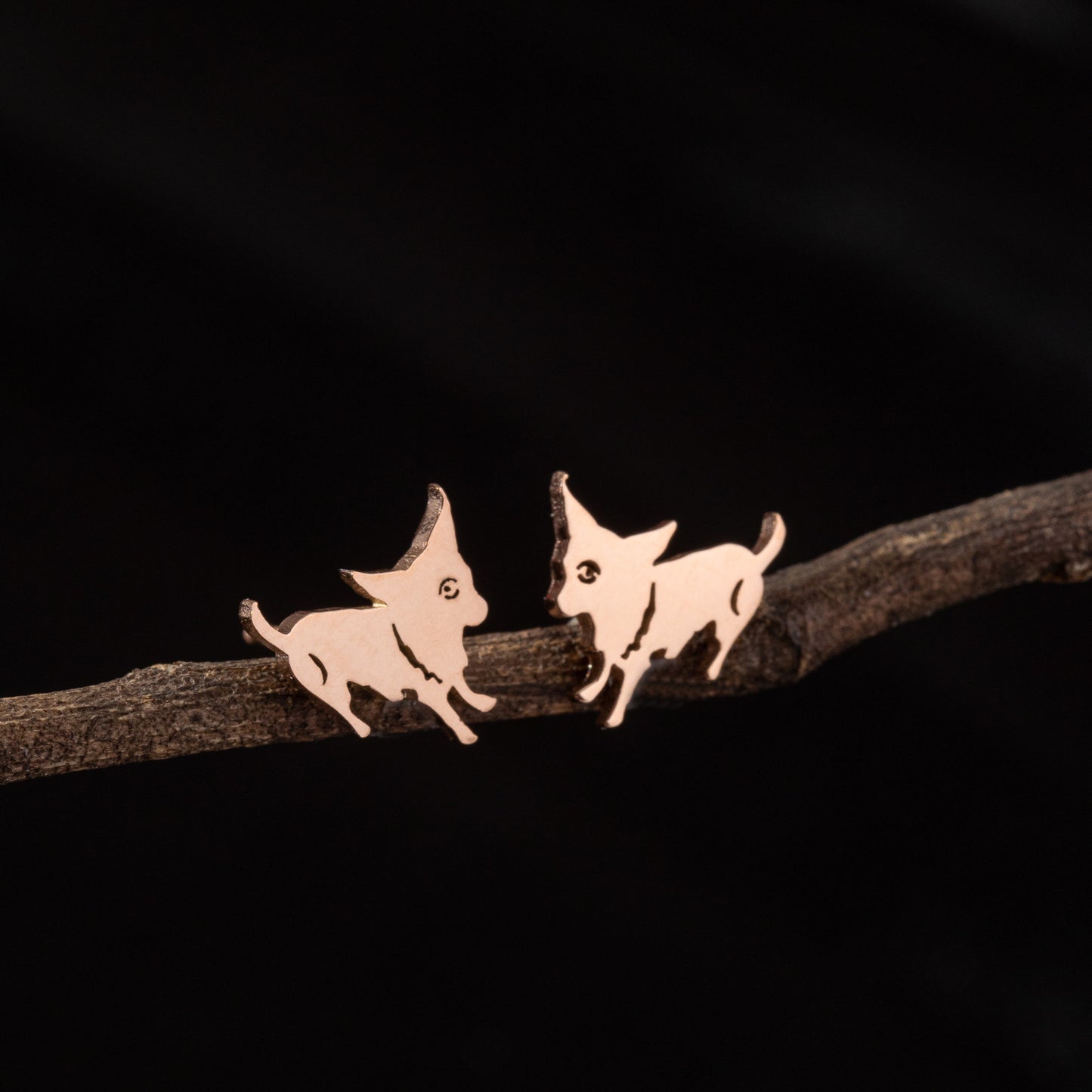 Stainless Steel Zodiac Puppy Style Small Earrings