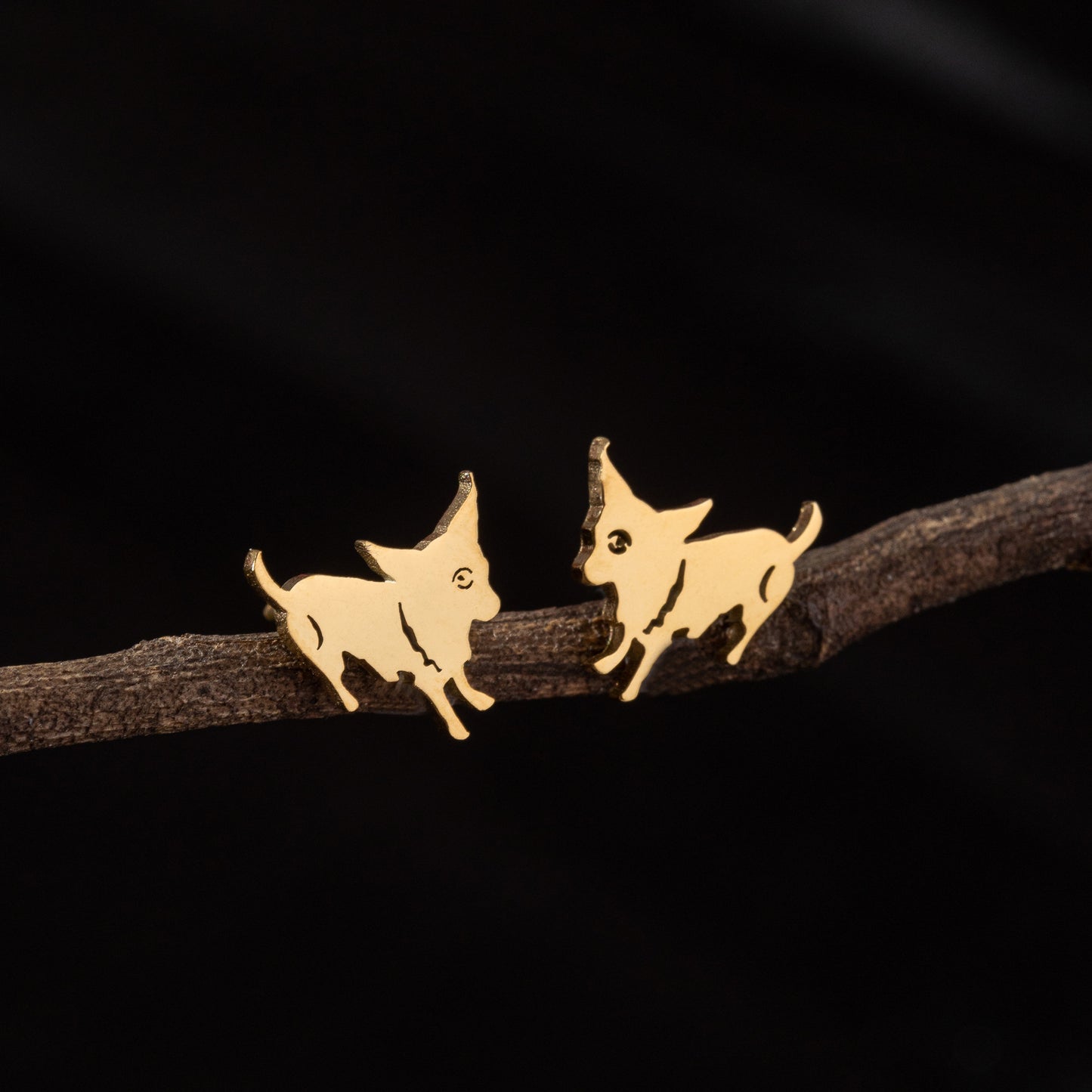 Stainless Steel Zodiac Puppy Style Small Earrings