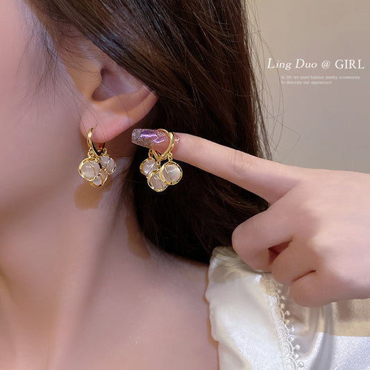 Unique Elegant Light Luxury Opal Female Earrings